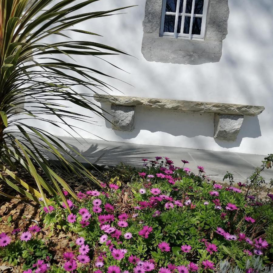 Villa Xaran Erdian Espelette Esterno foto